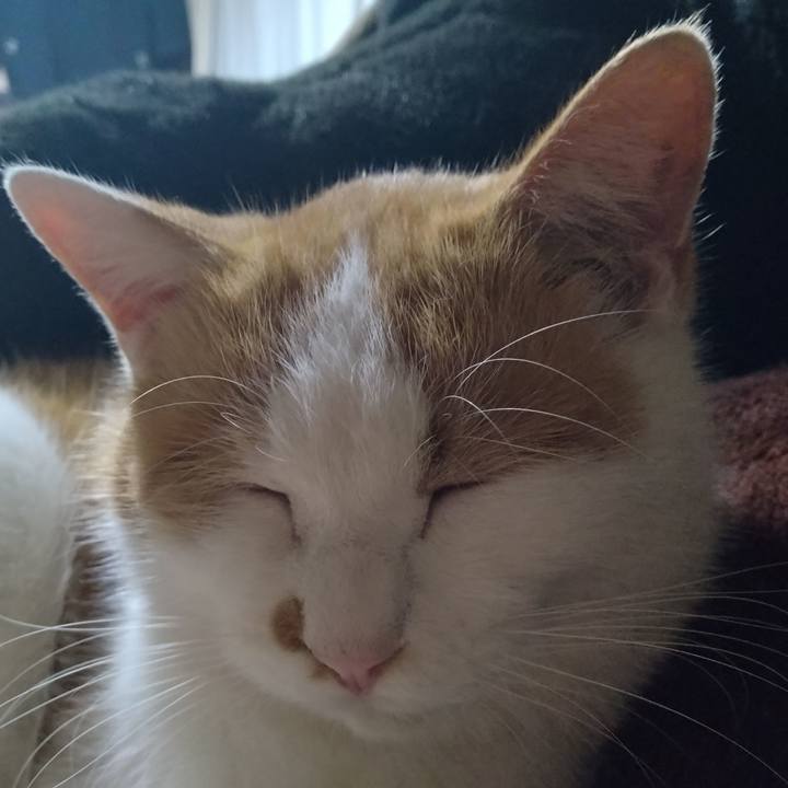 1ff880aa d490 4c59 a990 a44b4a60f25f 1765099902636