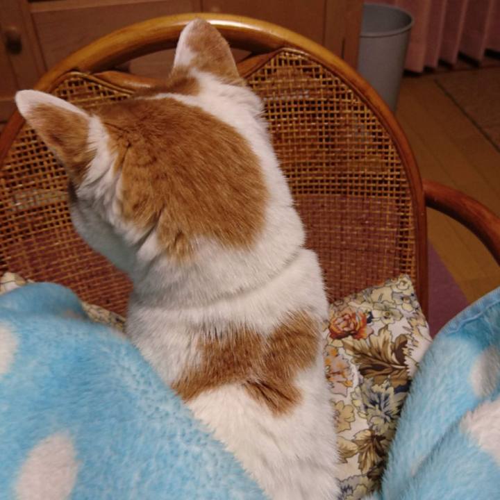 1ff8815b 3a64 48b5 88af c2a4f69eea4e 1644651303388