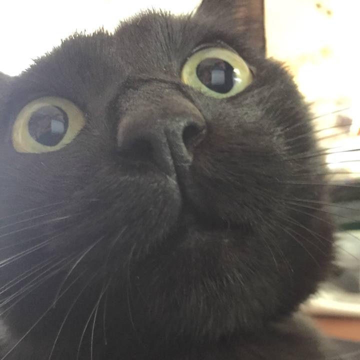 1ff88f0d 6eaf 4bea b210 421587052b9e 1509163442522