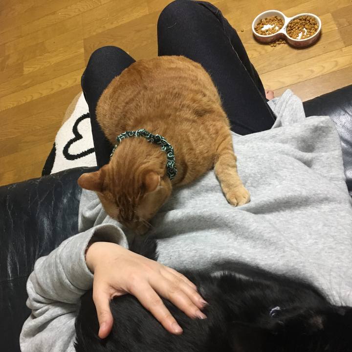 1ff8ccef d2eb 4363 869d 8fab9be9a125 1552759539532