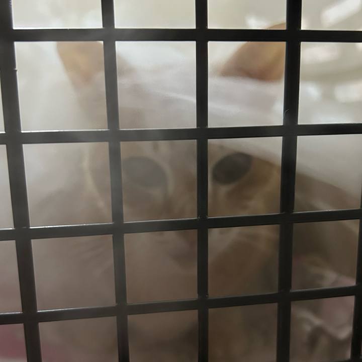 1ff8d04b 4d6a 4fe2 8701 d9440942305f 1679405815306