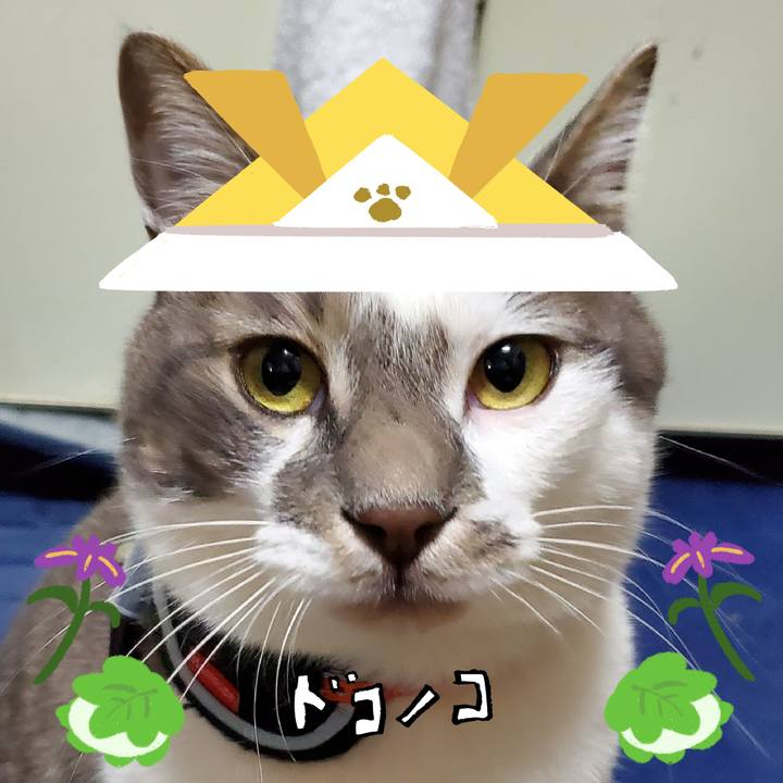 1ff92280 a003 4235 9861 7de7ce509d1a 1715562554556