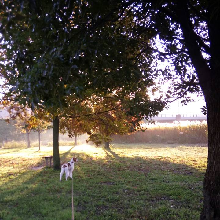 1ff947e7 b71b 4614 b597 e44b8b8afc34 1511241387303