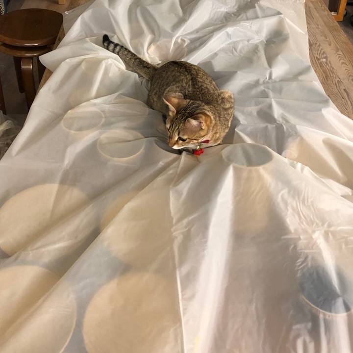 1ff96344 131e 4406 a39c 4ad43cb88a53 1588082662136