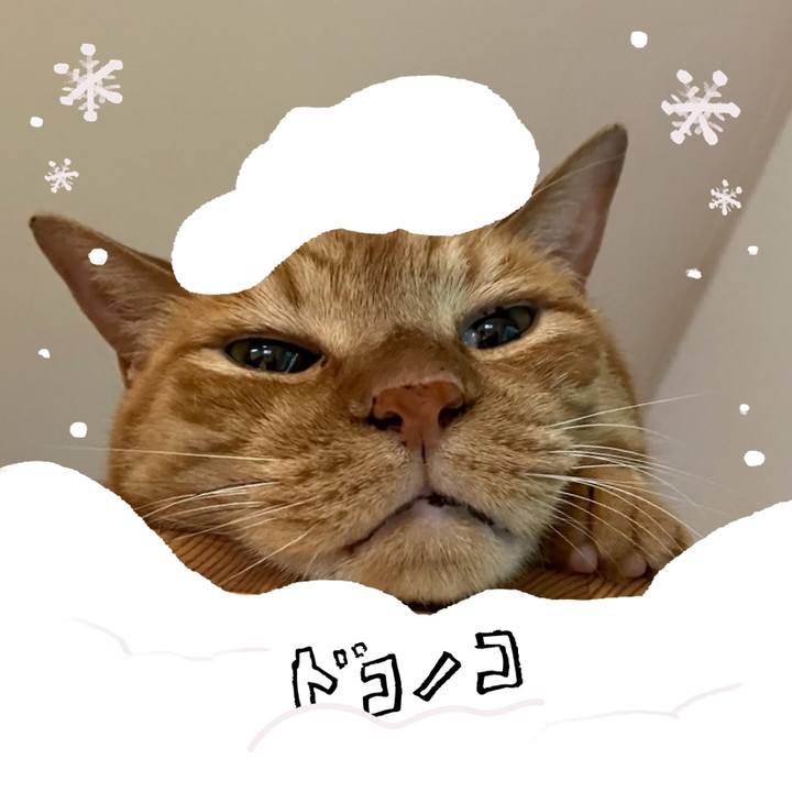 1ff9671e cca0 4e08 9cc2 1d614120fbb0 1771824864652