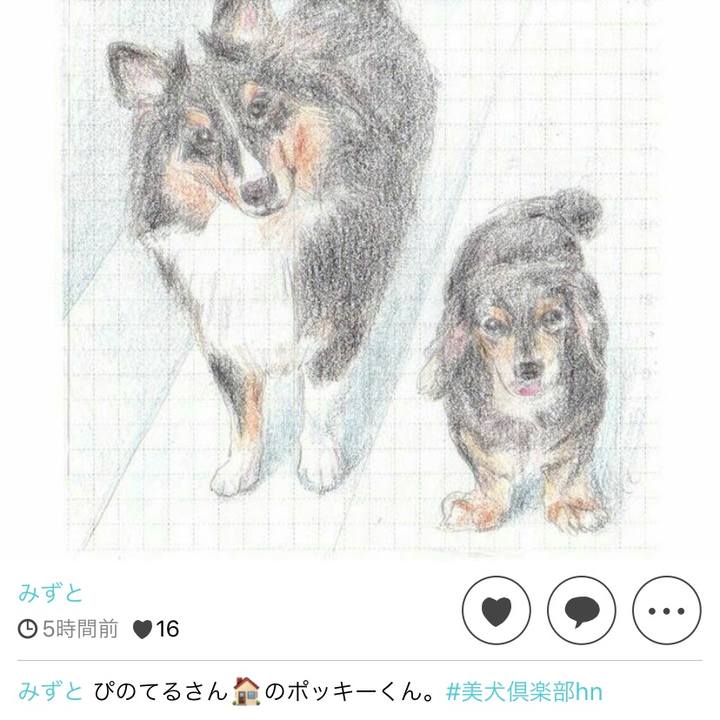 1ff99035 e76d 46b8 befa a614ac490f5b 1550613413580