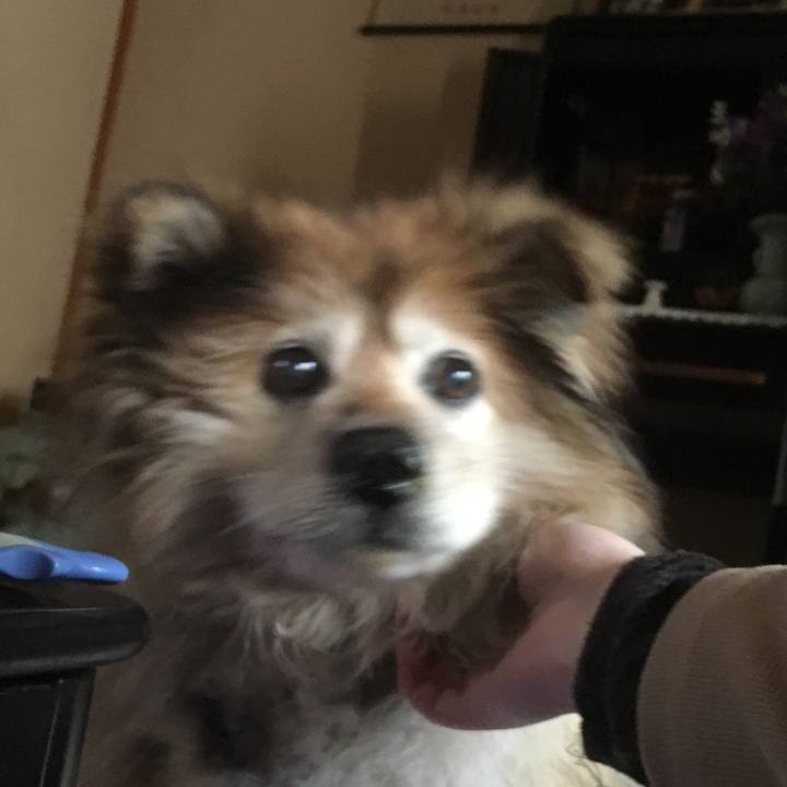 1ff9c395 f04a 4491 ba77 b46feef23c97 1600721428443