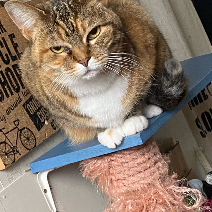 1ff9c778 e757 4f14 9123 ae9c4c9e2a61 1647942413748