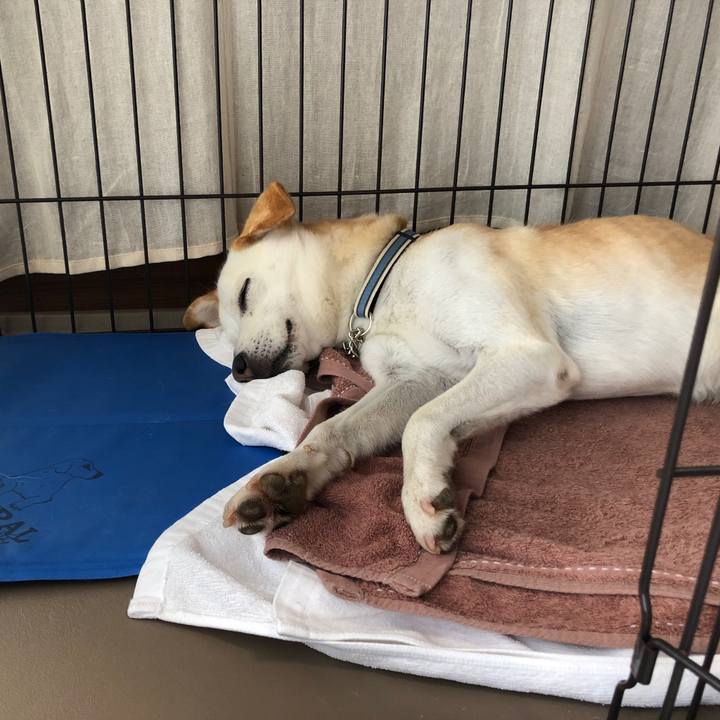 1ff9ca6d 7452 4a83 8123 c2f3a9fa2f50 1628639089633