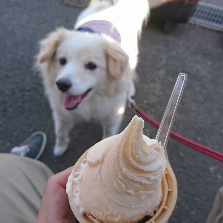 1ffa346d 6518 468d aee0 d8ceb6d1973e 1522217922050