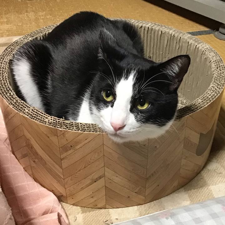 1ffa9e86 44e5 4133 a418 69d86da5a64c 1701690776046