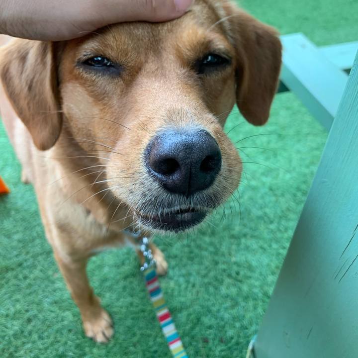 1ffaaaff d36c 493b 854f 9907c1c0b7c0 1572092567591