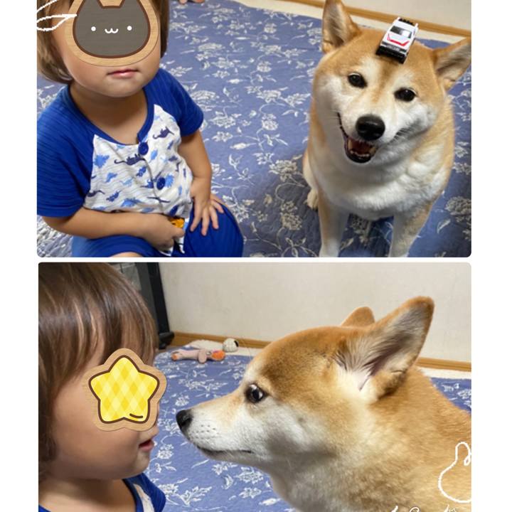 1ffab7f1 1e30 4757 8995 11f65108e5e7 1600766510074