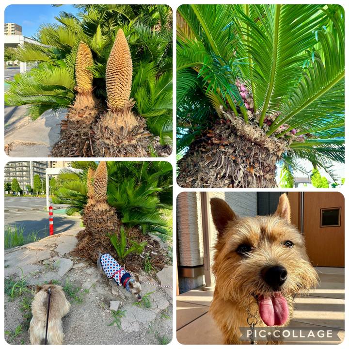 1ffade7a 4e53 42b3 bdf5 9f8ef22e129d 1753187141218