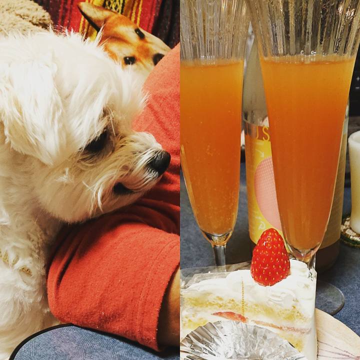 1ffb172f 14e6 4edd 8fb8 49a2cb40e1a8 1542627660312