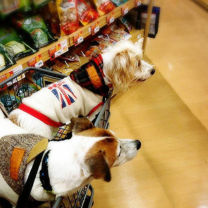 1ffb3a45 28a8 4496 861f 58c746e62314 1512294482806