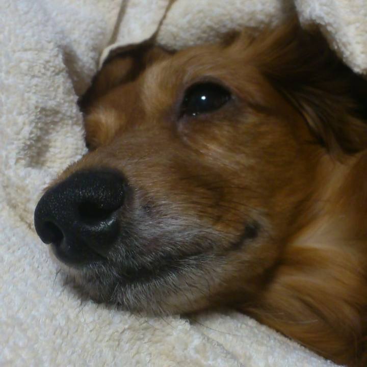 1ffb4582 d6df 4b04 bf2b 38792c165a57 1546624909942