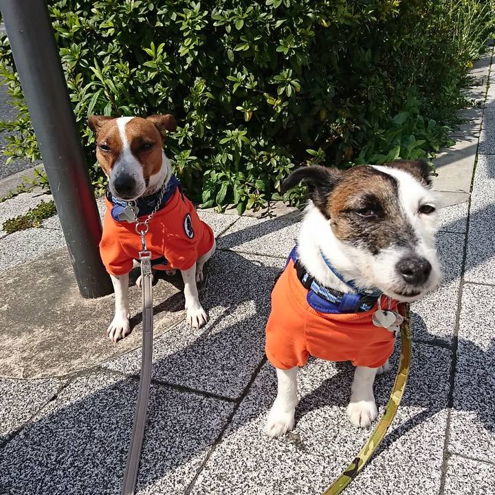 1ffb5c8b 06c0 4c8c 819b 2f64ff1a4c0c 1584845848129