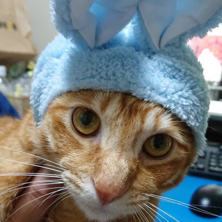 1ffb8ff5 86d0 420f 9633 d34c8a91819b 1575191684034