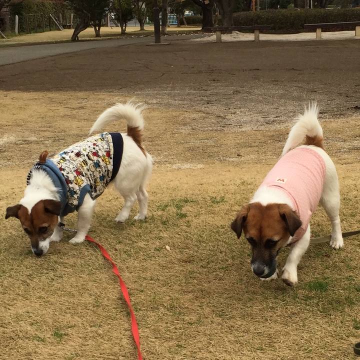 1ffbc55a a5c4 4336 89ab 10b1444393f4 1521768328074