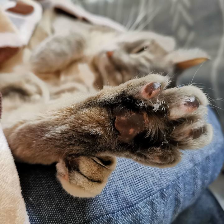 1ffc441c f6fd 4307 a2db 93600f5c53b9 1646144416708