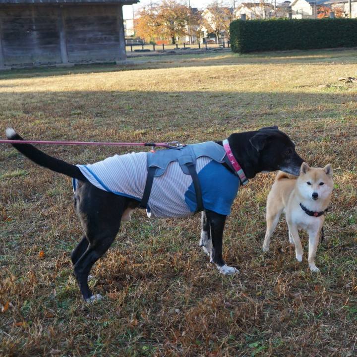 1ffcbcf5 f04c 43e5 9077 8cdccd68d288 1763943163301