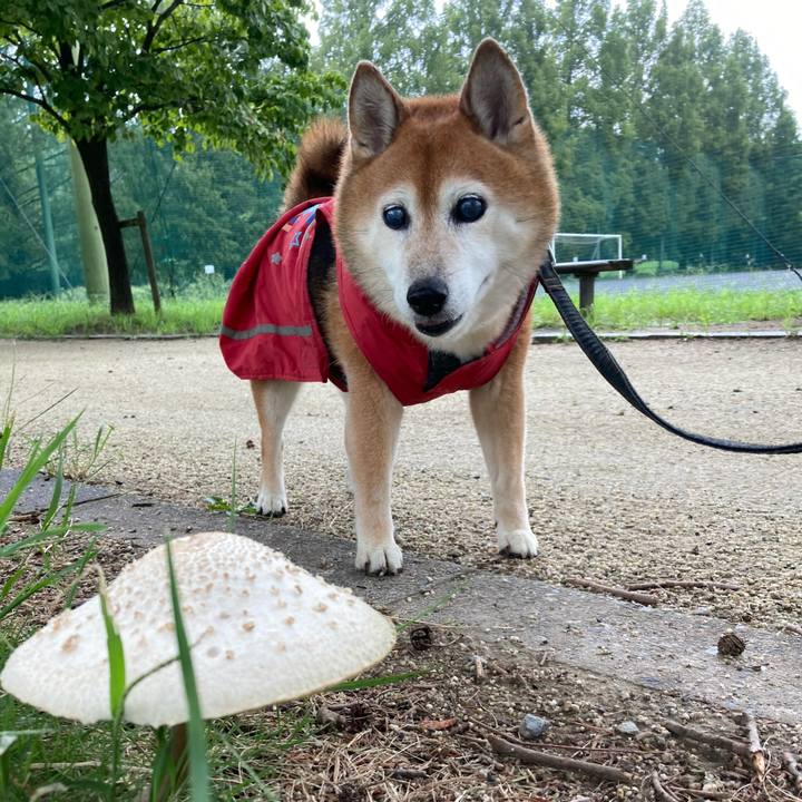 1ffcc705 e715 4753 bb42 507897a61320 1724297418309