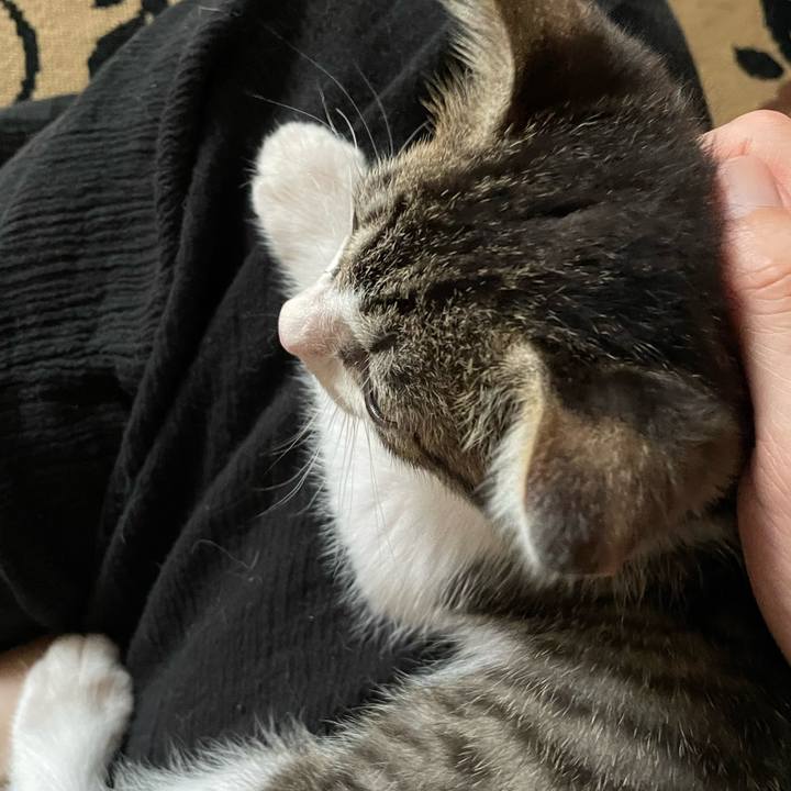 1ffccbb4 2b7a 4c34 b648 8c2188ff1740 1721370538305