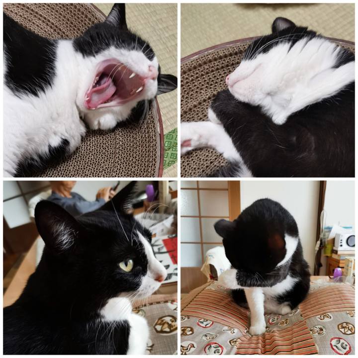 1ffccdf5 fccf 4e9c bb04 28c9ef5673a0 1695353922401