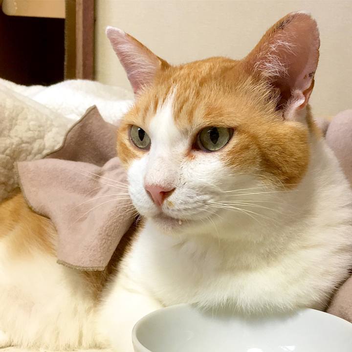 1ffce205 9a01 48a9 8faa ebf389be4595 1597049836212