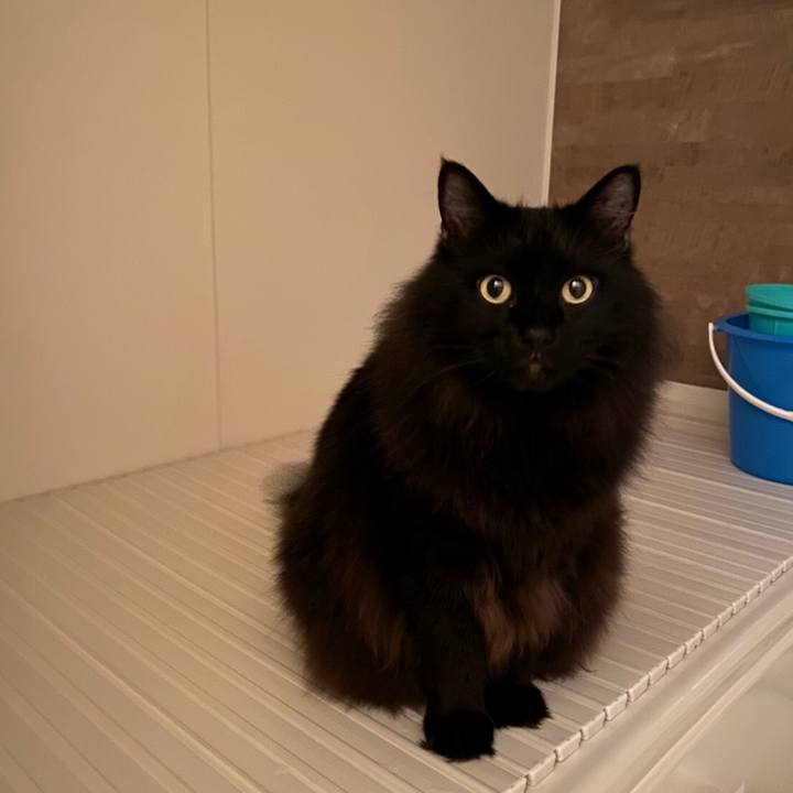 1ffcfed0 5221 4a98 9e44 5ab0d475aa33 1575911858526