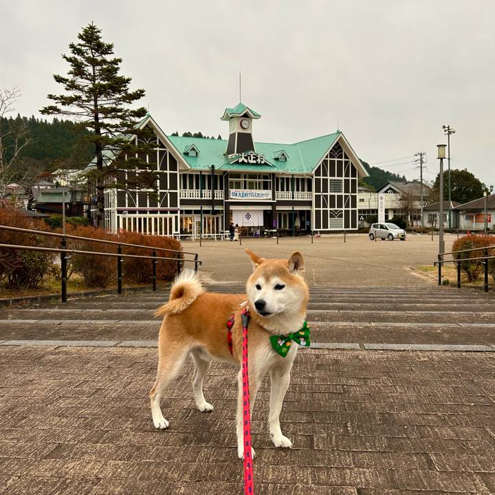 1ffd35e6 5059 4416 be57 092ca8e6065e 1701767554425