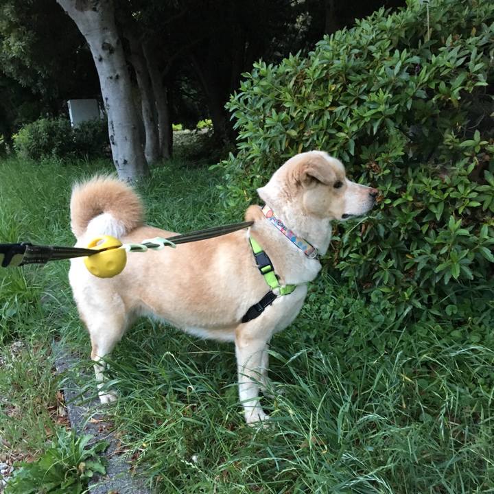 1ffd3a2c 2984 43da 950f 6d79fdb6476a 1527685694452