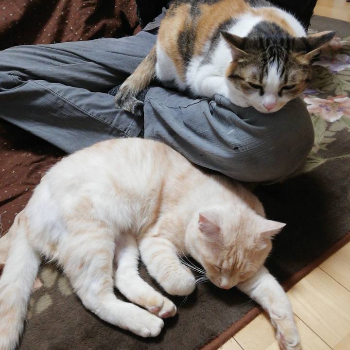 1ffd5fd1 0efe 4e0d 9347 2ff675f19726 1617314400970