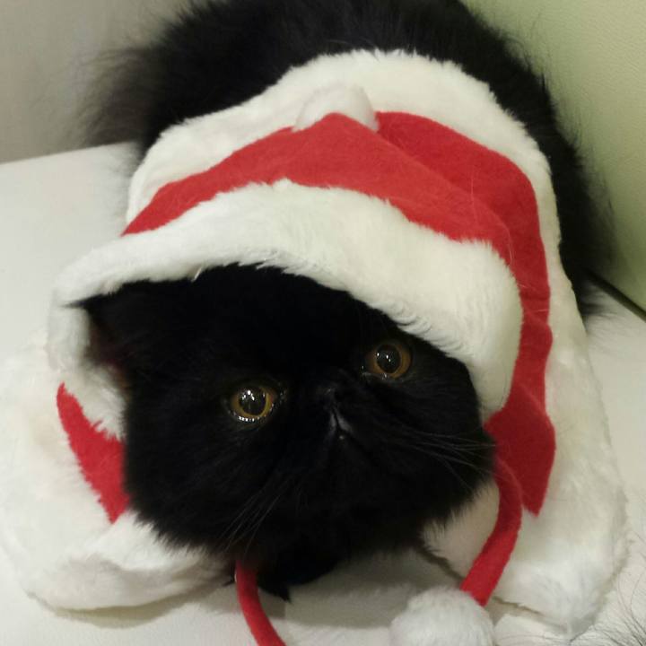 1ffd8bd4 37bd 43d8 a1fd efe8ca98b3f9 1513769142785