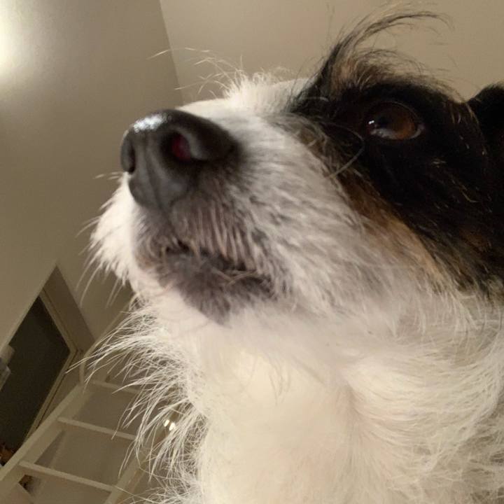 1ffd9f87 6650 4441 84a8 d90993ef8f93 1614516659577