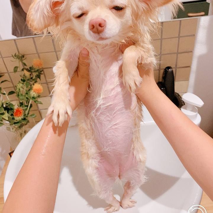 1ffda0b2 3a4b 46fb 94ab f9c763f923c2 1623672587874