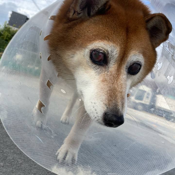 1ffe021b cb26 4750 8e98 d00439d68f1a 1667800413186