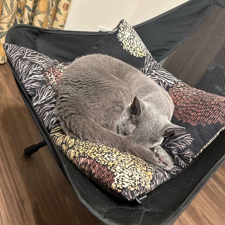 1ffe2d8b 0744 4060 bed7 0f17b79af6a2 1737981605935