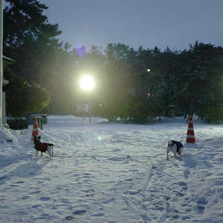 1ffe6d51 48df 4812 8d4c e817cc83613b 1517459582942