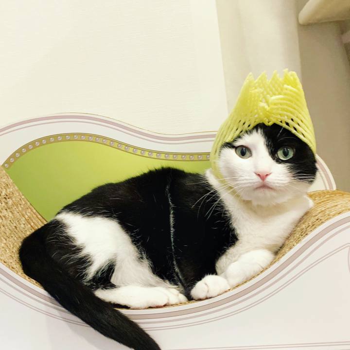 1ffe7236 3648 44d1 bbb9 b74cb21a5649 1558828563830