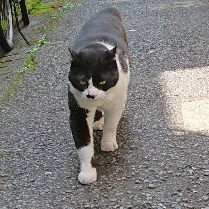 1ffe941e 8533 44af 9cba 066efa92238c 1621745850835