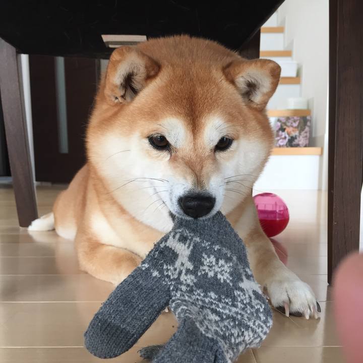 1ffea3ba ba5f 4c39 9a18 951f25efc612 1552101508149