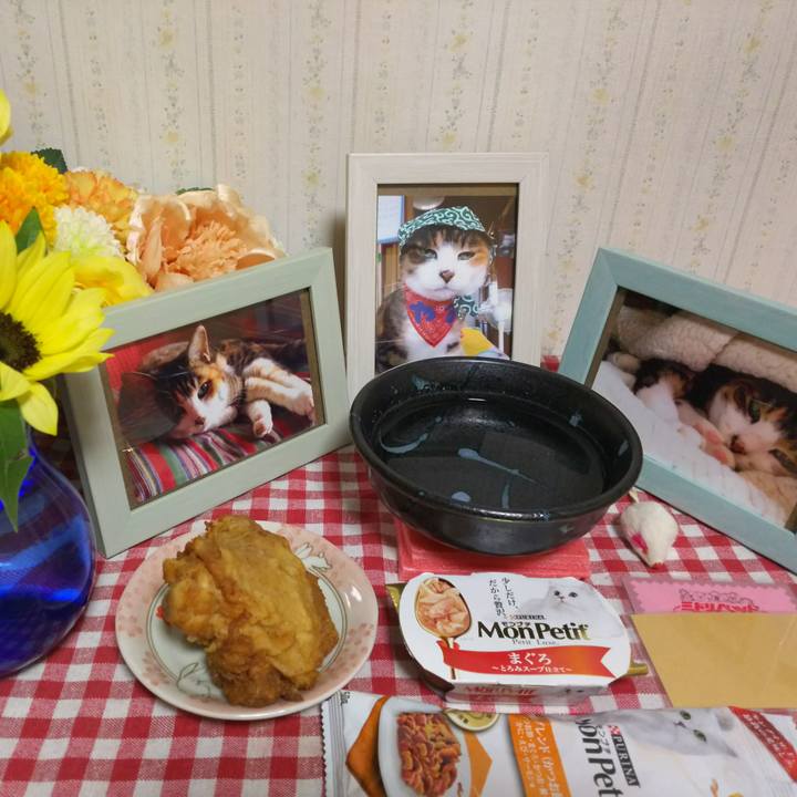 1ffee52c 75c4 4caf b3a9 a4713953d7dc 1524306990099