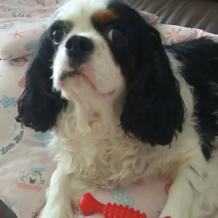 1fff0a14 83dc 475e bc4c cf7e5cea3088 1529639615485