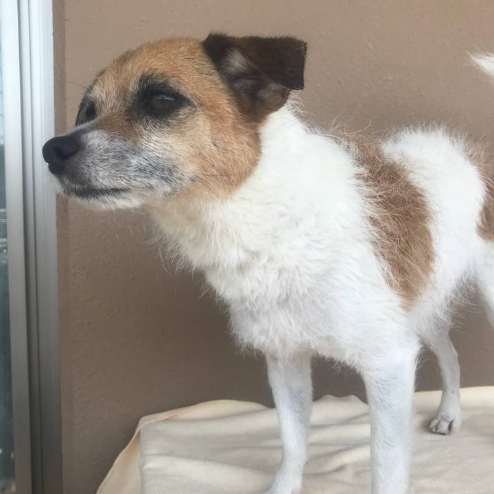 1fff95a0 8de1 4684 ac40 a435e35fa359 1524272104400