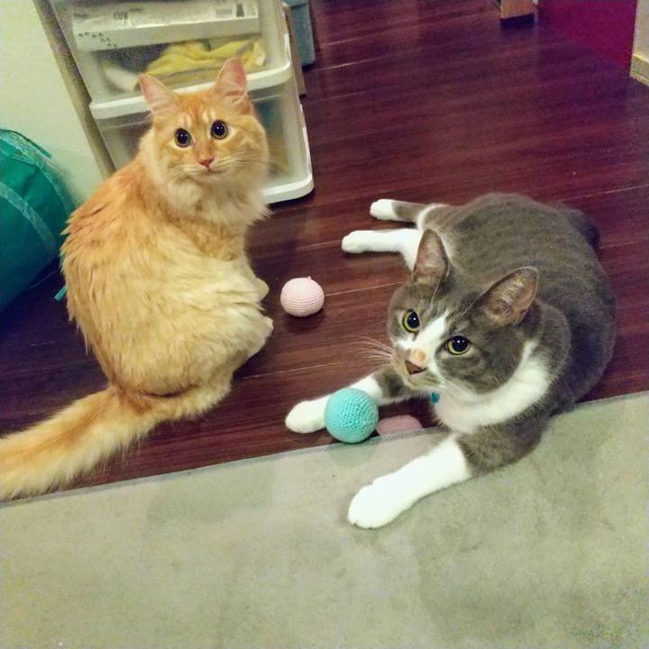 1fffaf63 91d3 4679 bdc1 9f8ea0f0be75 1628684422612