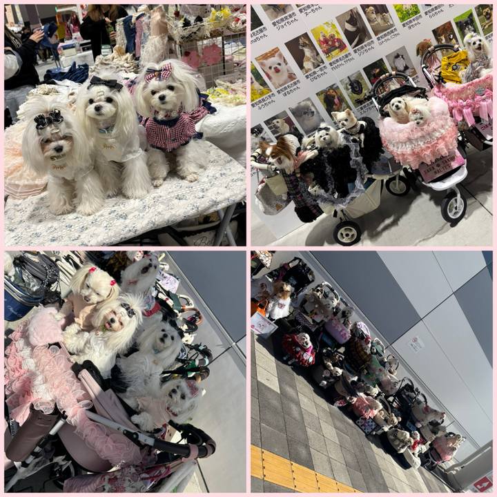 1fffb439 3223 47dc 8c20 503ba7642751 1771669822671