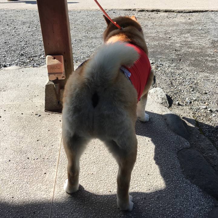 1fffde6f caf0 47b8 b5d3 9dc461397c0b 1570251427411