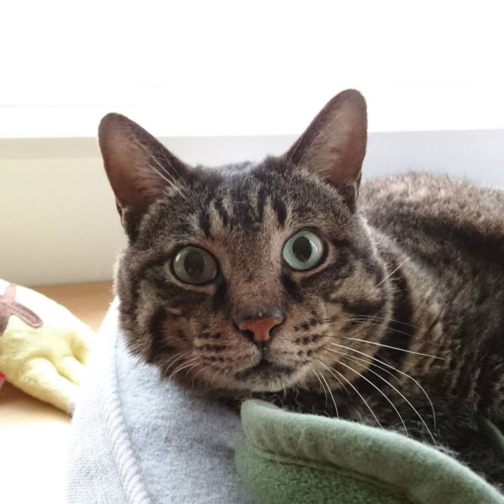 20000dcc 1dc3 4df9 96d9 54b623b460f0 1540783182910